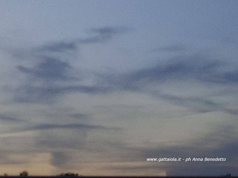 Albatros nel cielo della Versilia - ph Anna Benedetto